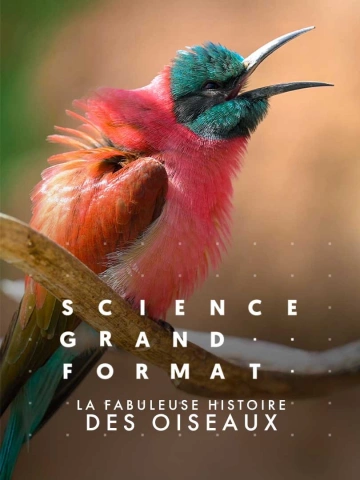 Science.grand.format.S09E16.La.fabuleuse.histoire.des.oiseaux