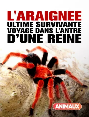 L'Araignée, ultime survivante Voyage dans l'antre d'une reine