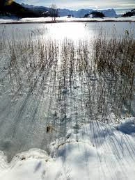 LA SUISSE DES LACS - HISTOIRES HIVERNALES AU BORD DE L’EAU