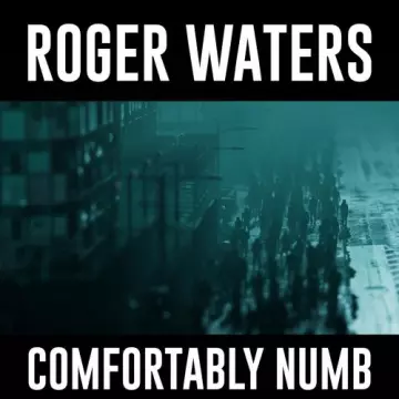 Roger Waters - Comfortably Numb (EP)